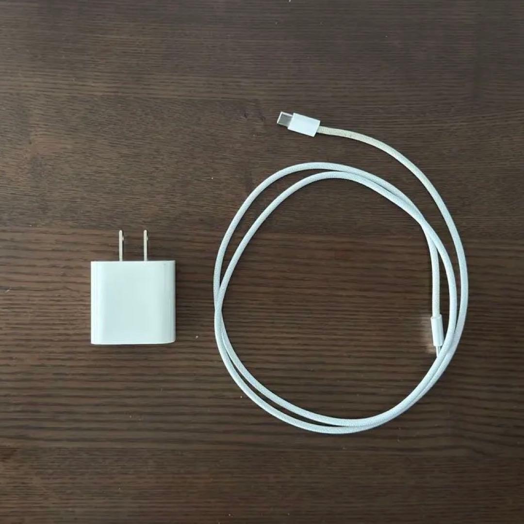 iPad Pro 11インチ(2018) Wi-Fiモデル 1TB