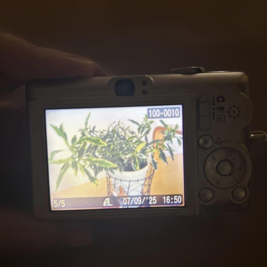 デジタルカメラ Canon IXY DIGITAL 60