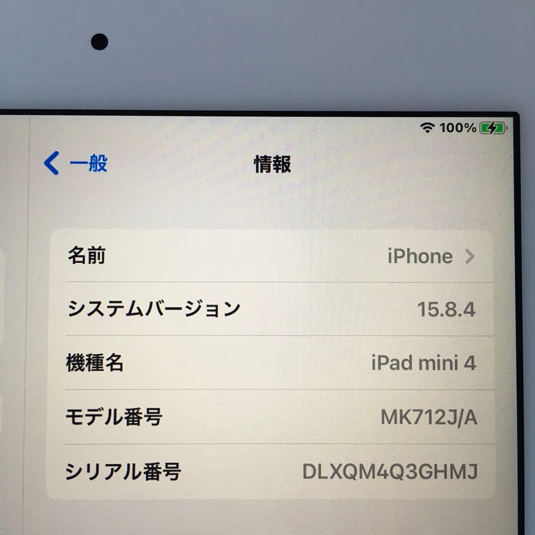 iPad本体 iPad mini4 Wi-Fi+Cellular 16GB