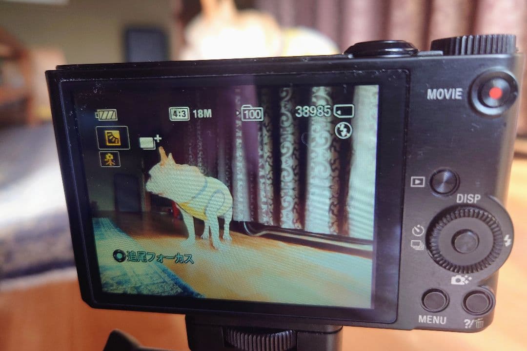 ソニー　SONY Cyber-shot DSC-WX300