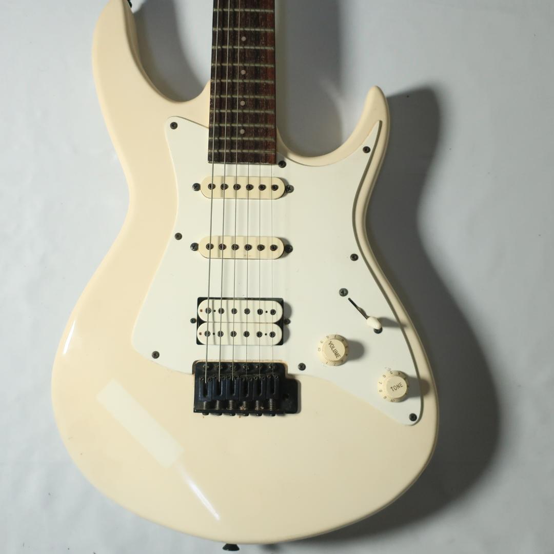 Black Dog by Aria ProⅡ ギター ケース付 コイルタップ搭載