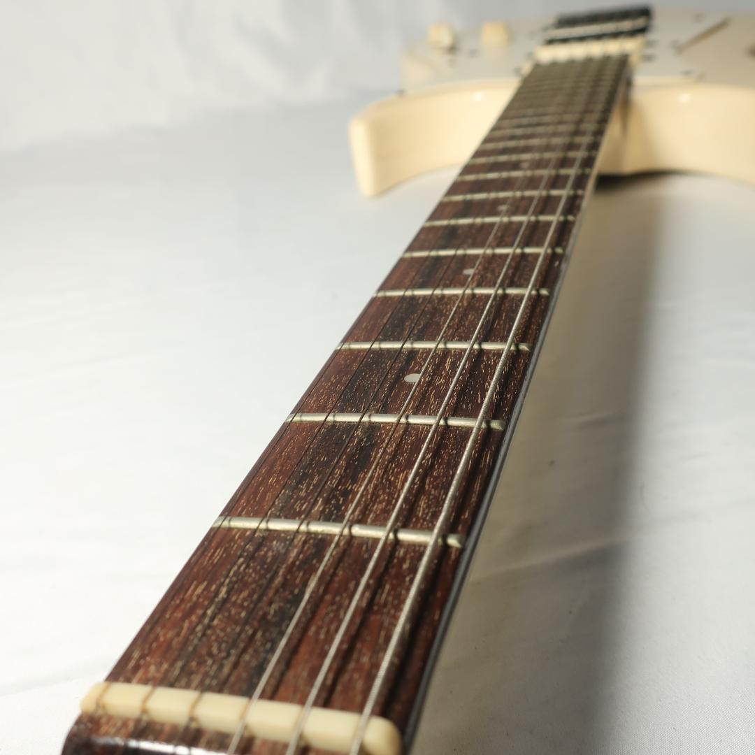 Black Dog by Aria ProⅡ ギター ケース付 コイルタップ搭載