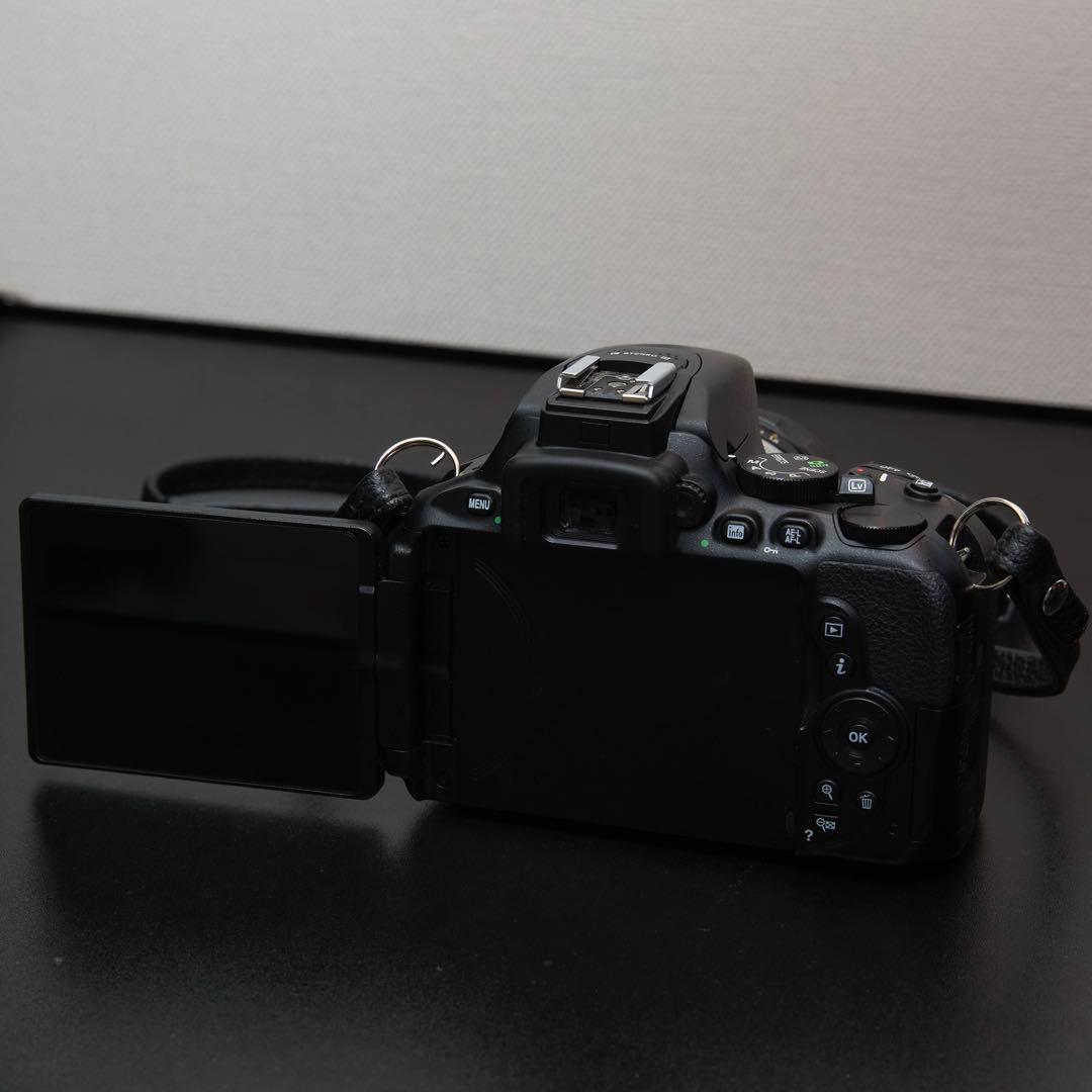 値下!【美品】Nikon D5600 標準レンズ/望遠レンズ/オールドレンズ