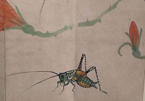 中国近時代の紙本　王雪濤　斉白石？激安骨董　貴重品 古美術DE338B13-4