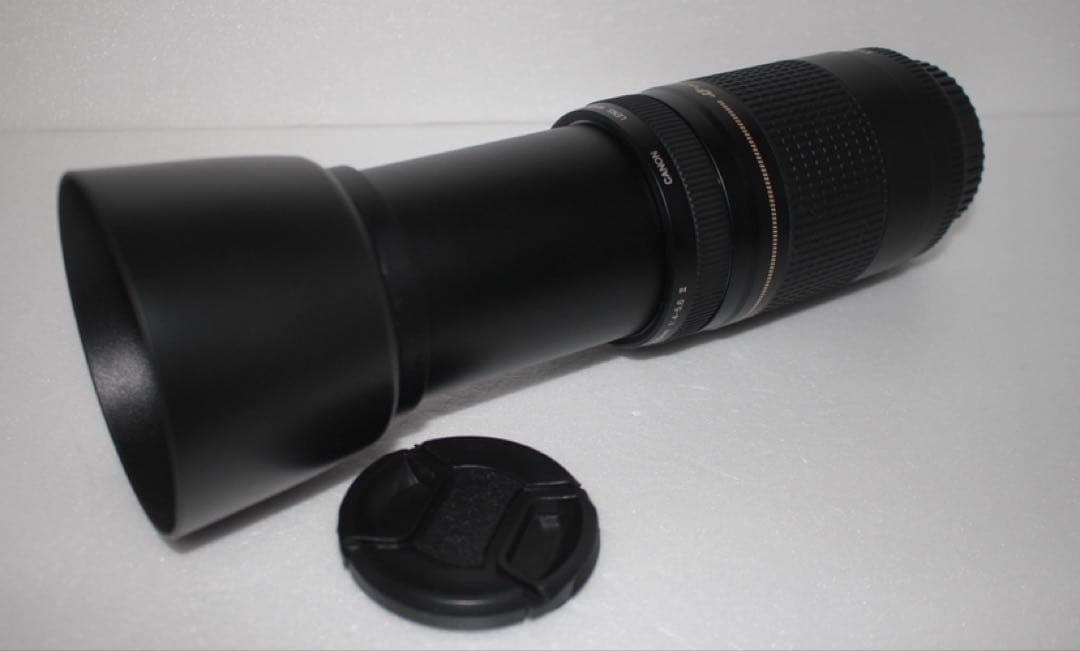 フード付き☆人気の望遠レンズ☆キヤノン Canon EF75-300㎜