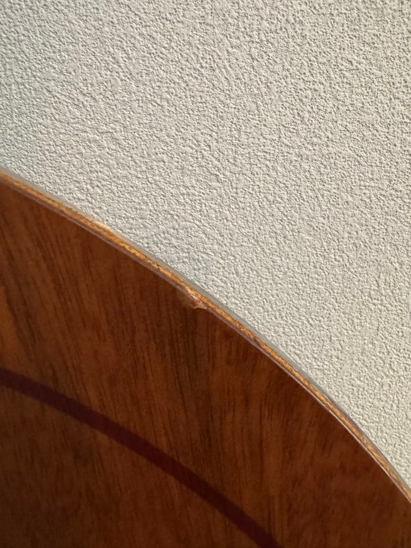 tj brand ナポレオンフィッシュ153