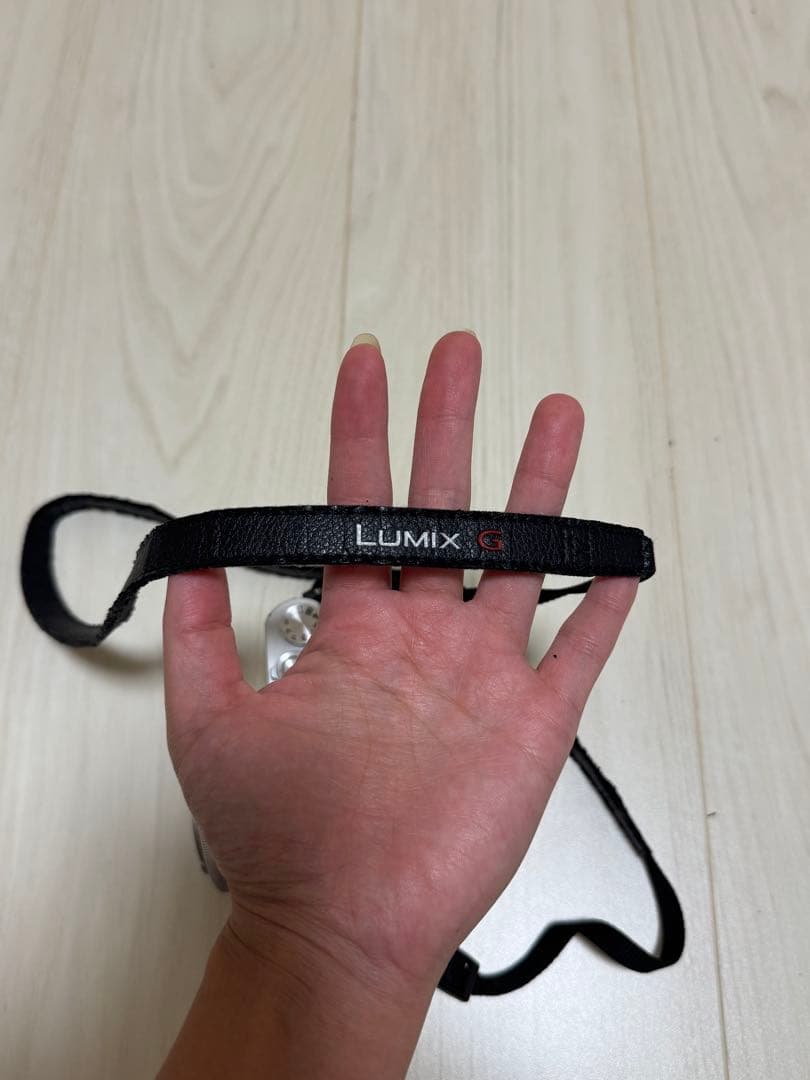 Panasonic LUMIX DC-GF9W ダブルレンズキット