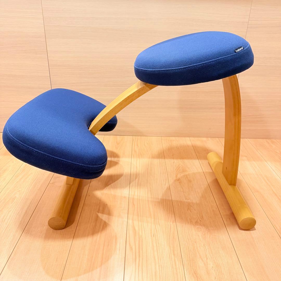 バランスイージー【Rybo balans EASY】サカモトハウス カバー有