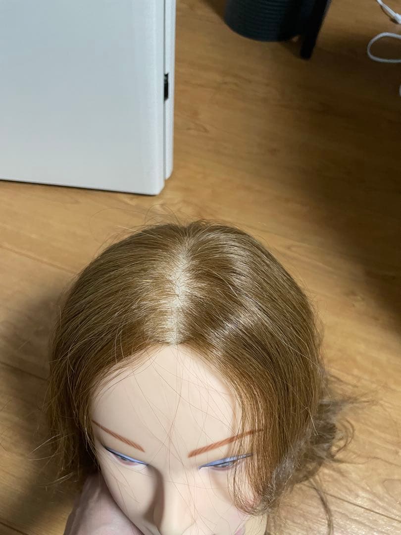 NBAA ロングアップウィッグ