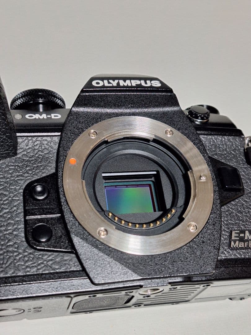 OLYMPUS (オリンパス) OM-D E-M1 Mark III