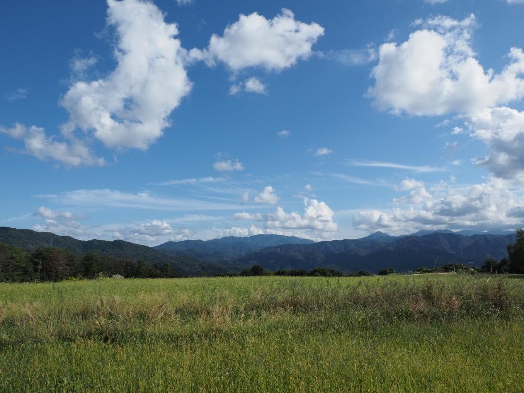 OLYMPUS (オリンパス) OM-D E-M1 Mark III