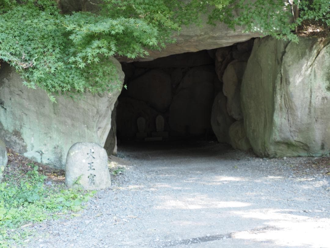 OLYMPUS (オリンパス) OM-D E-M1 Mark III