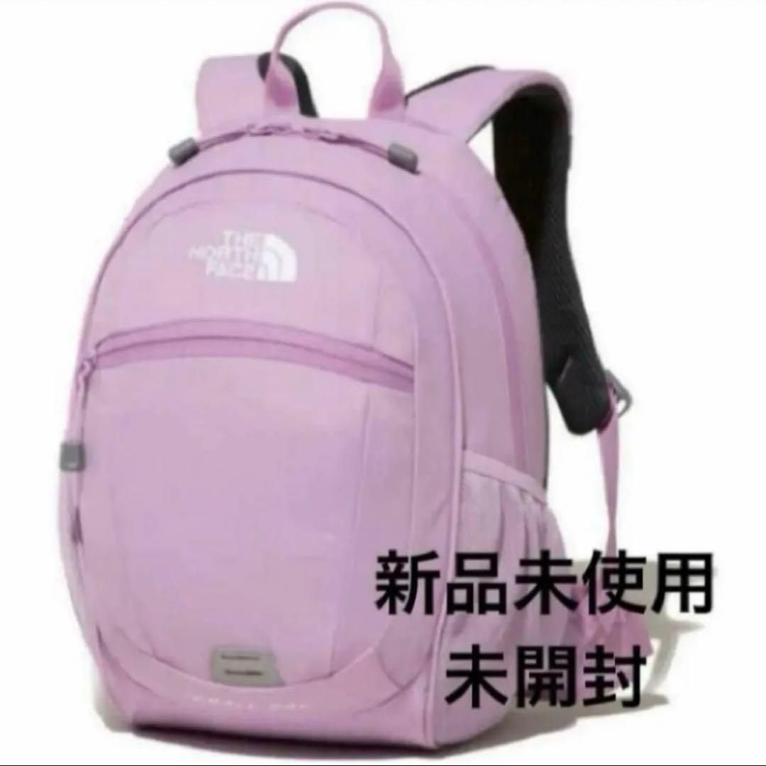 ノースフェイス　スモールデイ　キッズ　リュック　スモーキーグレープ　15L