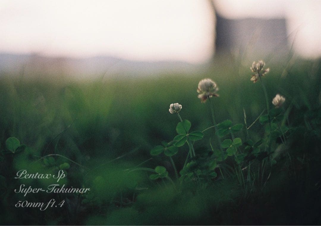 ★初期保証★pentax sp＊takumar f1.4★完動品＊良品＊作例多数