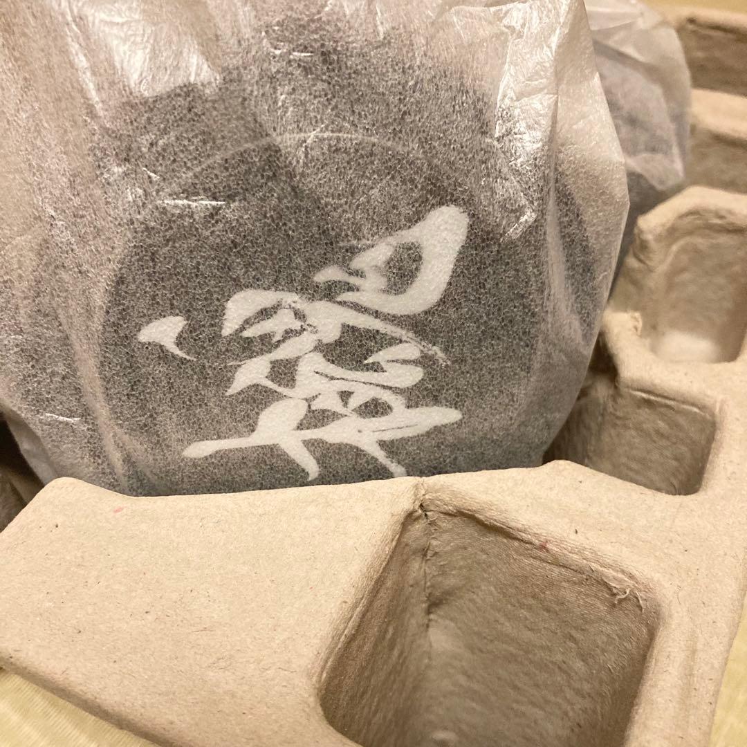 ★限定品★ ソニー デジタルサウンドヘッドセット MDR-DS7000 MGS4