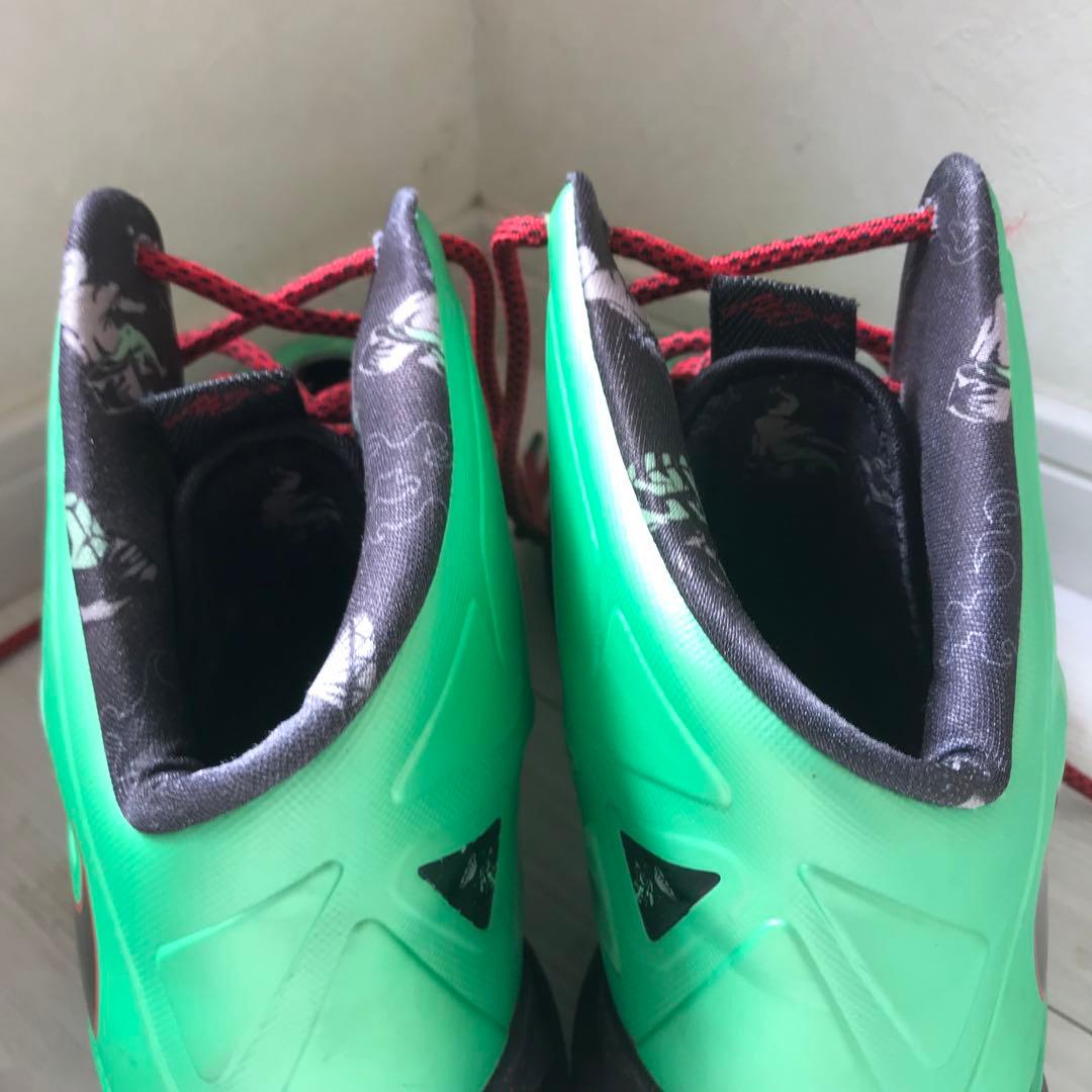 NIKE ナイキ28.5㎝　US10.5 レブロン10 中国限定モデル