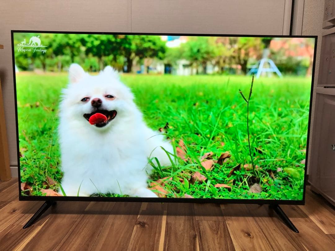 2022年製！50V型 4Kチューナーレステレビ Android TV HDR○