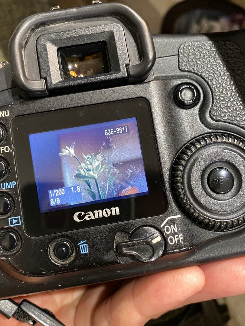 Canon EOS 20D デジタル一眼　ヤシカ1:1.9 50㍉単焦点　動作品