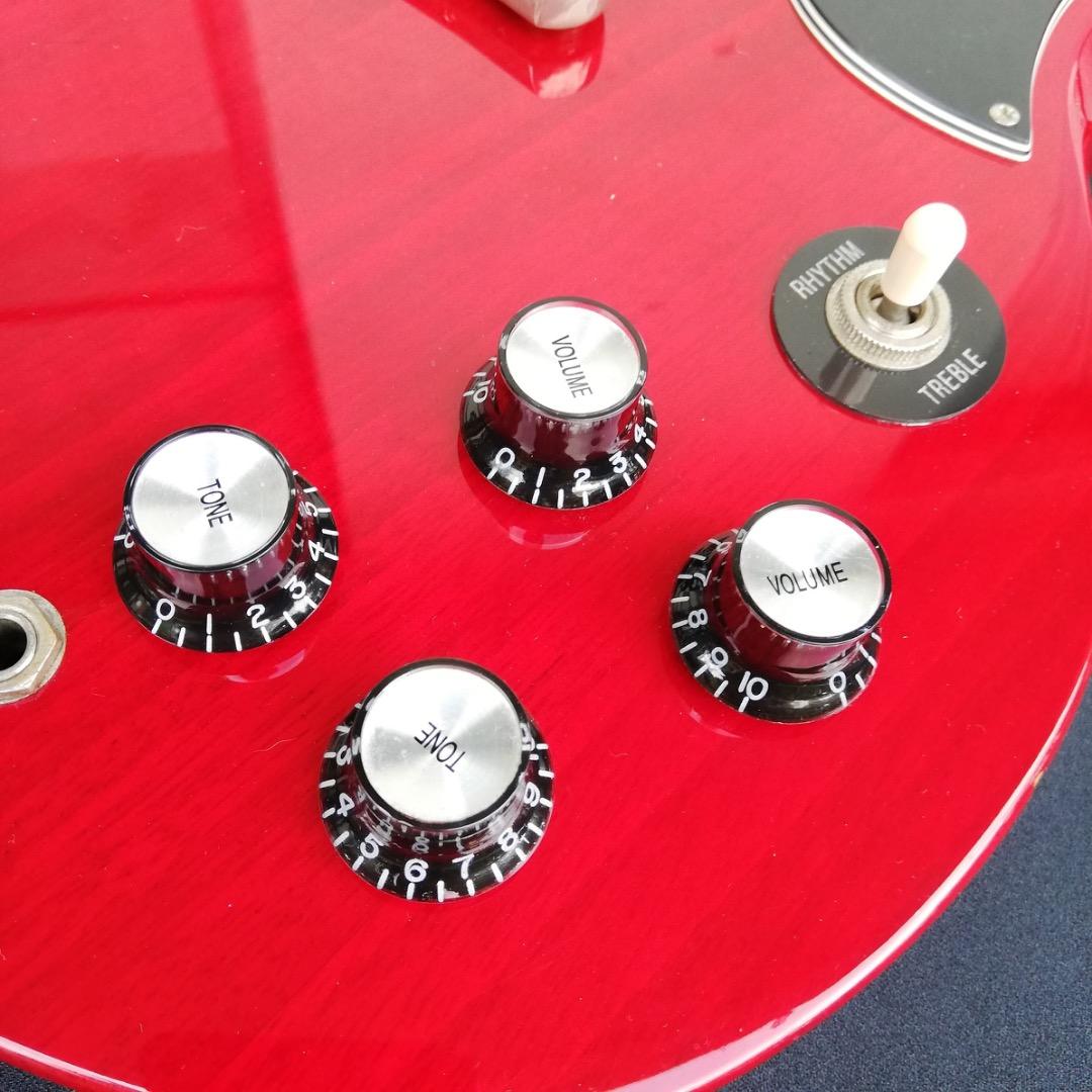 弦楽 Burny SG FERNANDES SuperGrade