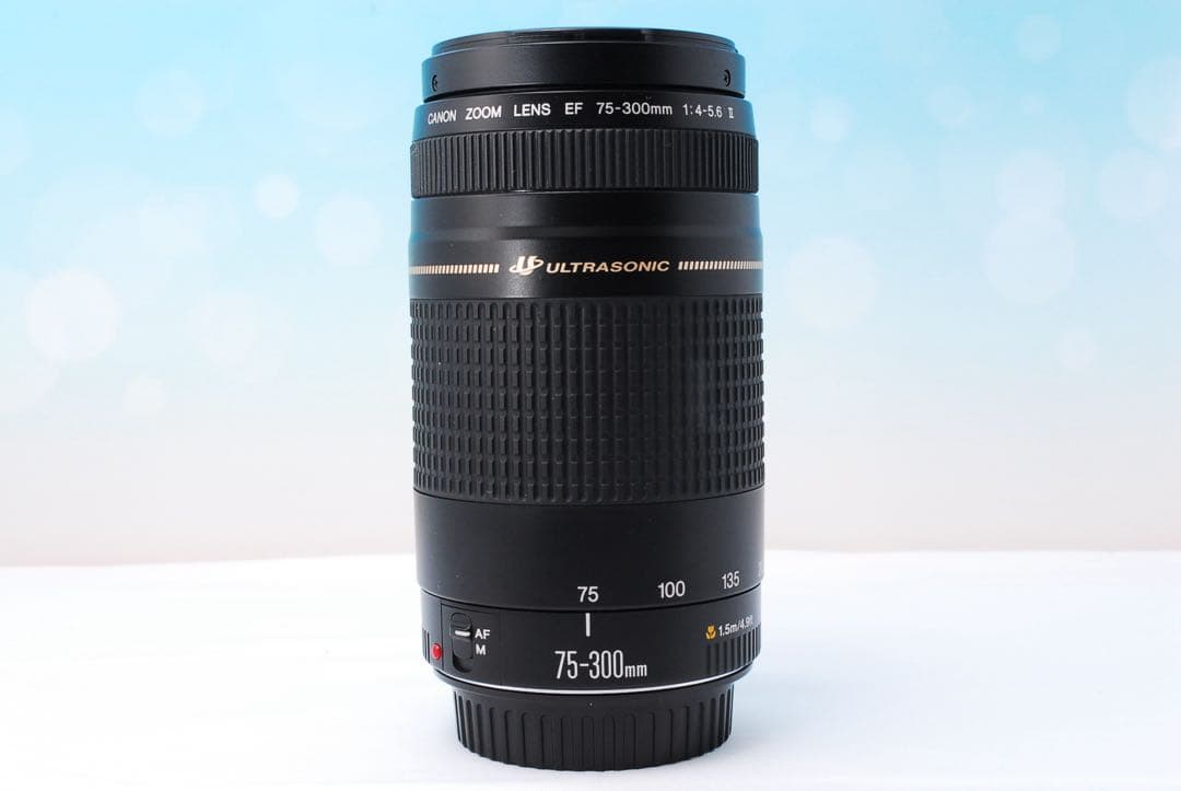 【外観美品】Canon EF 75-300mm F4-5.6 II USM