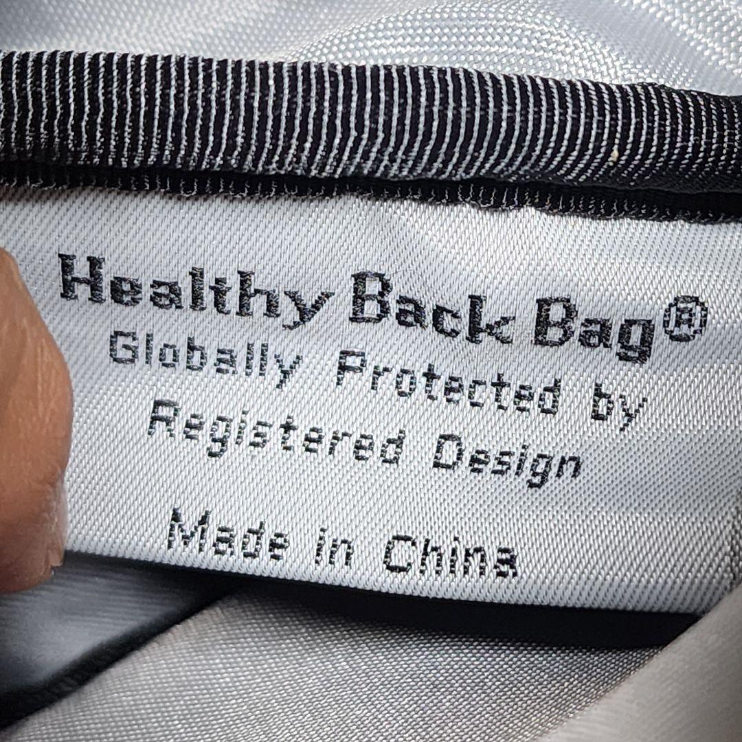 【美品】HEALTHY BACK BAG レザー バッグレット メタリック