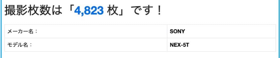 SONY NEX-5T ミラーレス一眼 16-50mm 専用ストロボ付
