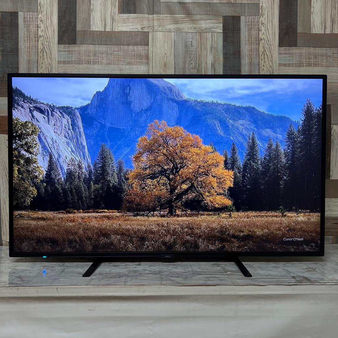 しまさん専用全国送料込。去年購入。耐久性抜群NEC49型4Kモニタースピーカー付