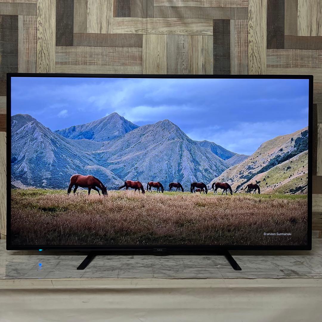 しまさん専用全国送料込。去年購入。耐久性抜群NEC49型4Kモニタースピーカー付