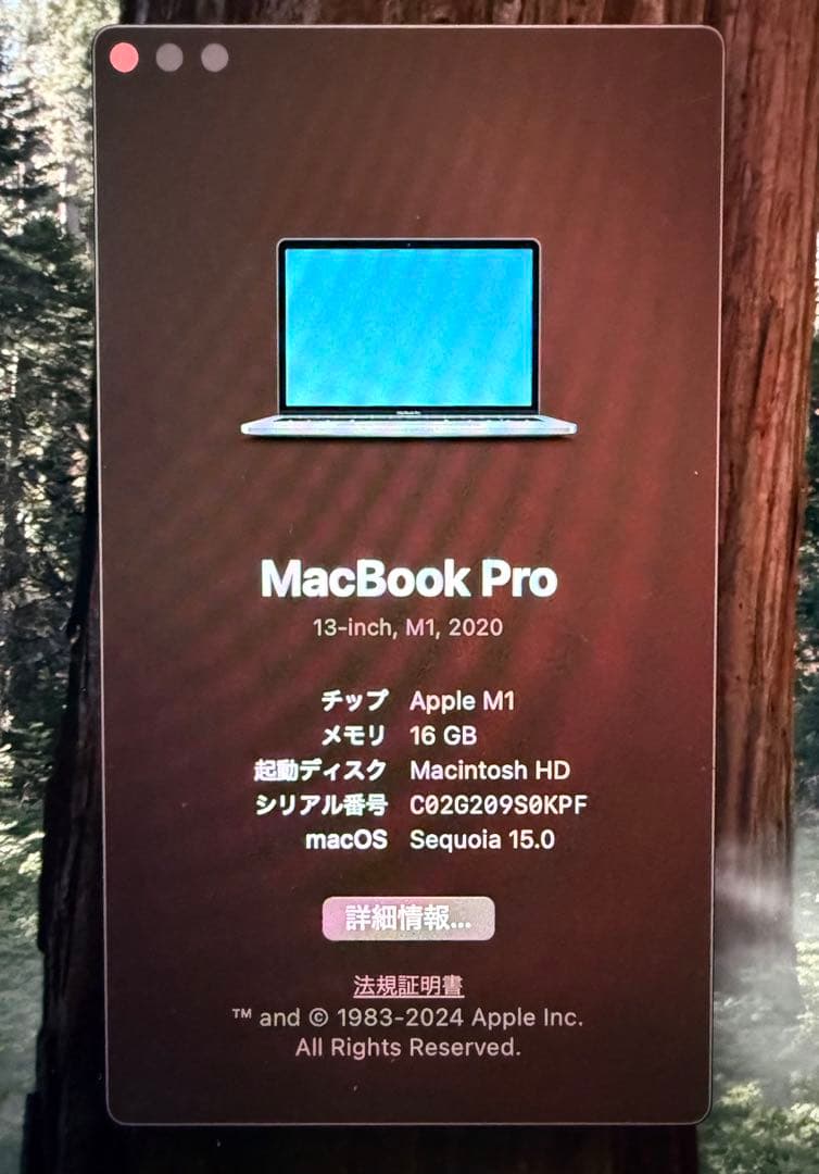 MacBook Pro M1 13インチ メモリ16GB 1TBストレージ