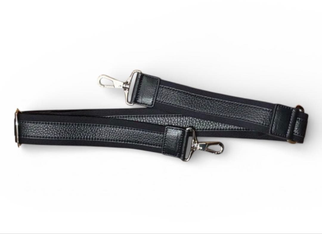 極美品 限定完売モデルPELLEMORBIDA バッグ 希少Lサイズ