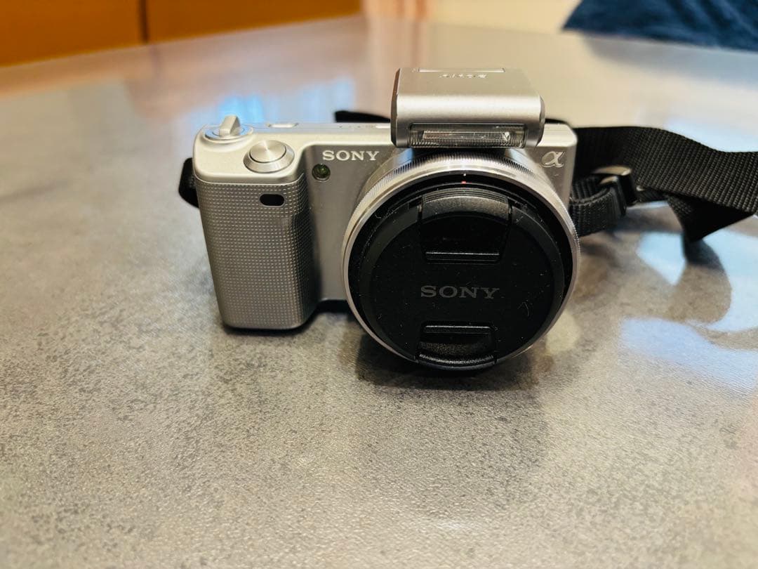 Sony NEX5本体
