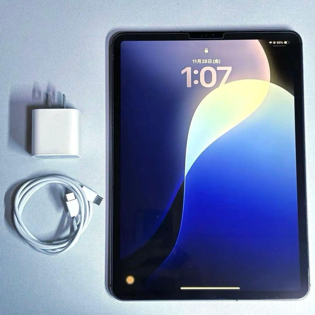 iPad Pro 11インチ 第一世代 256GB セルラーモデル