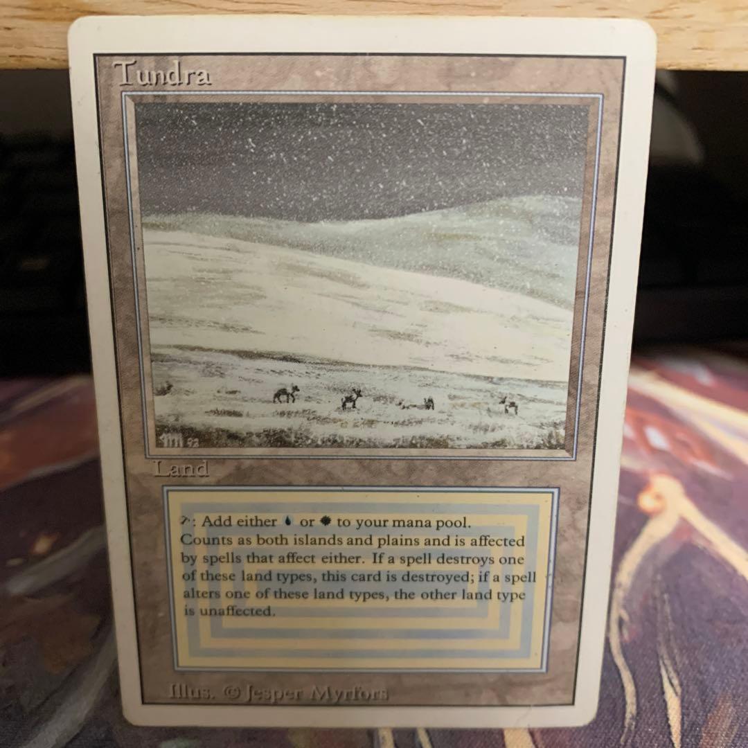 Tundra　1枚