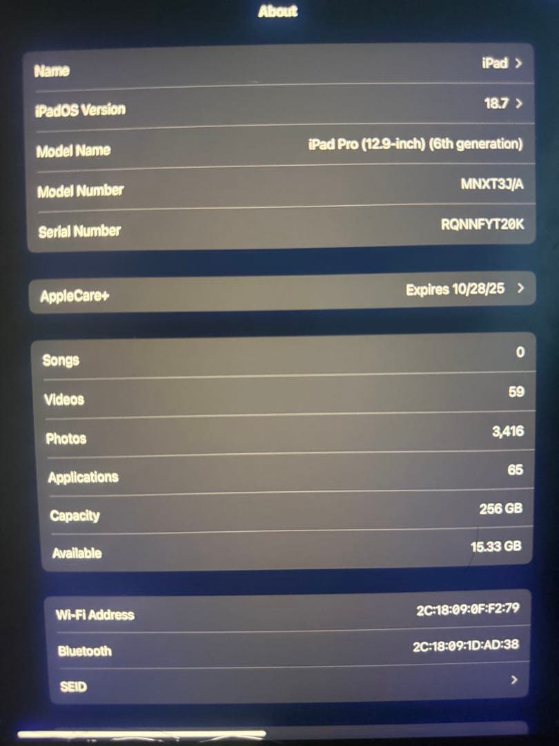 iPad本体 iPadPro 12.9 M2 WiFi256