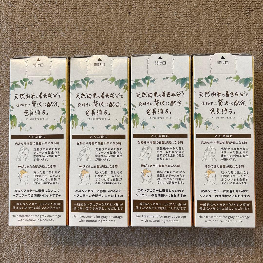 Blauné ダークブラウン　カラートリートメント つけかえ用　155g×4個