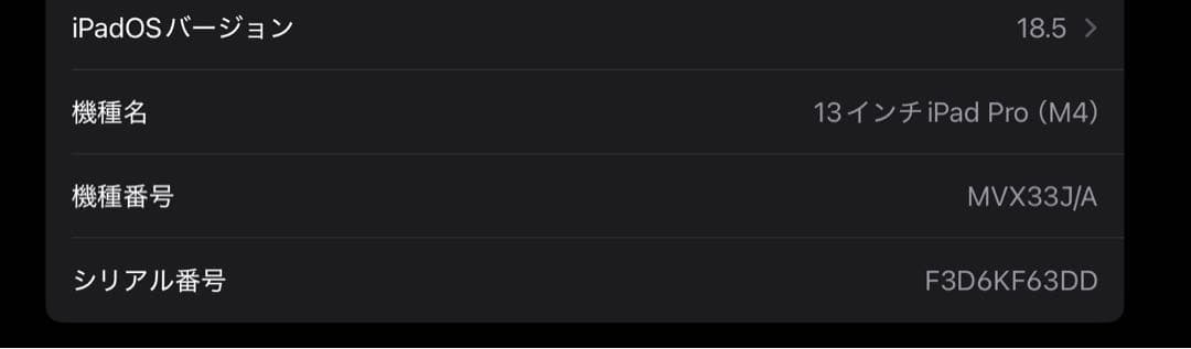 美品iPad Pro 13インチ 2024 Wi-Fi 256GBシルバーm4