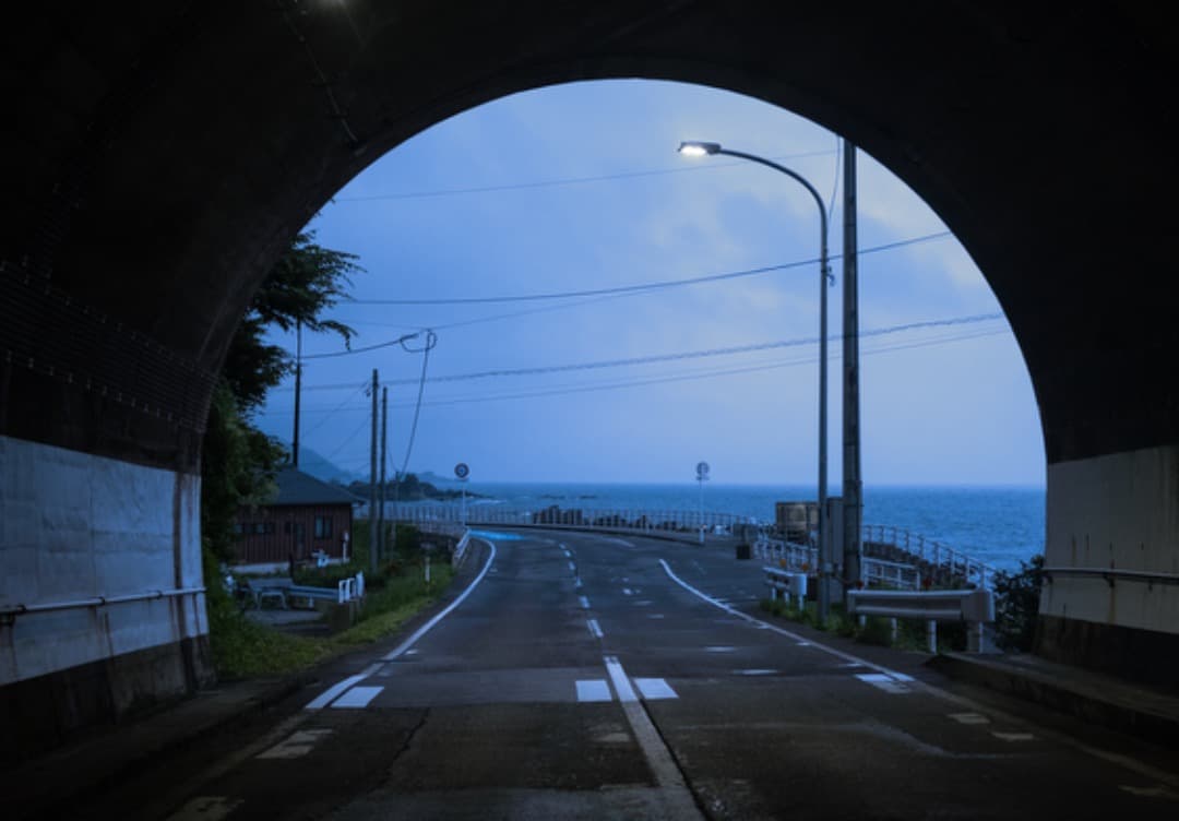 ★極上美品★ニコン NIKON Zfc 本体➕ カメラ用カメラグリップ