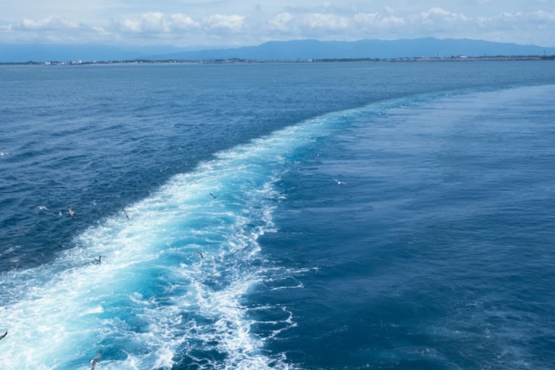 ★極上美品★ニコン NIKON Zfc 本体➕ カメラ用カメラグリップ