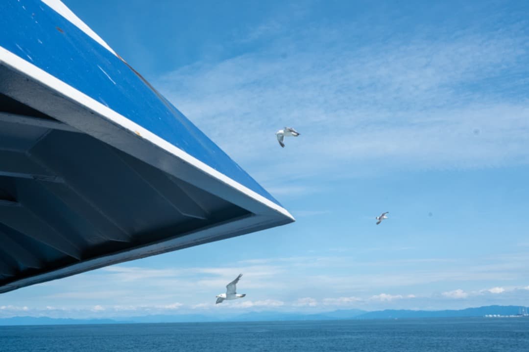 ★極上美品★ニコン NIKON Zfc 本体➕ カメラ用カメラグリップ