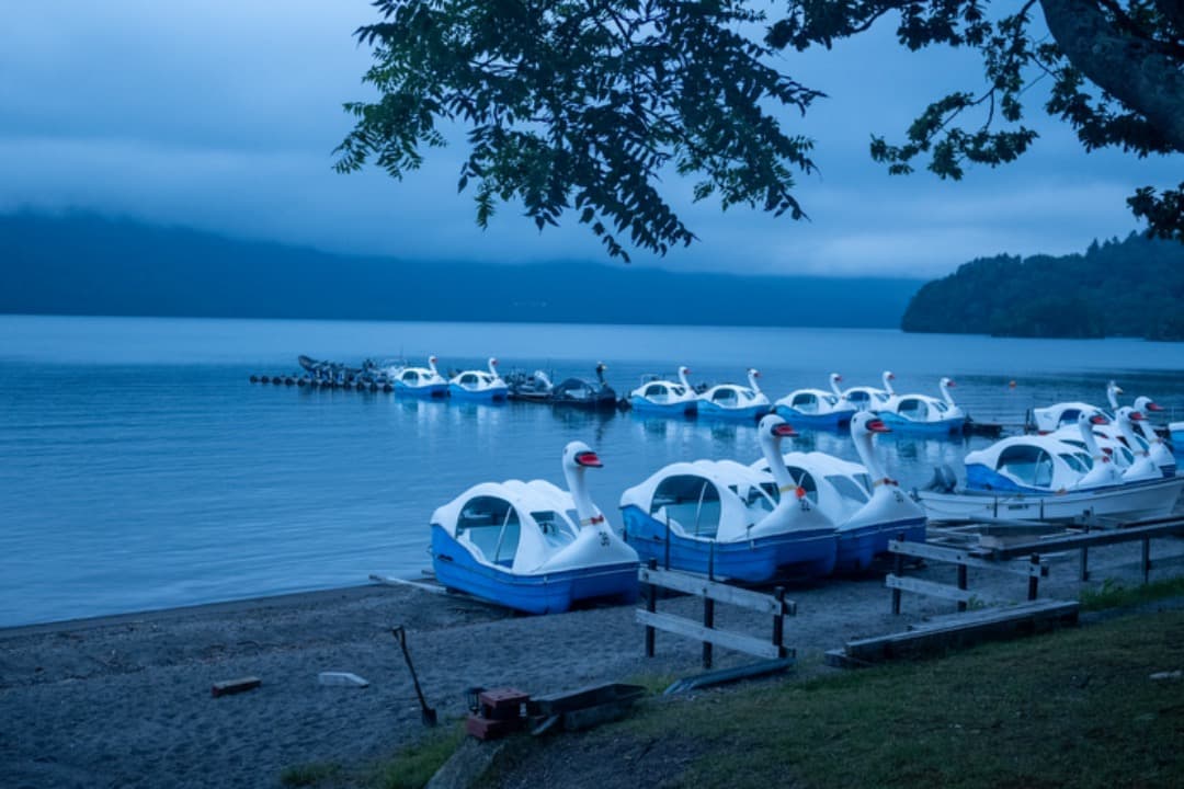 ★極上美品★ニコン NIKON Zfc 本体➕ カメラ用カメラグリップ