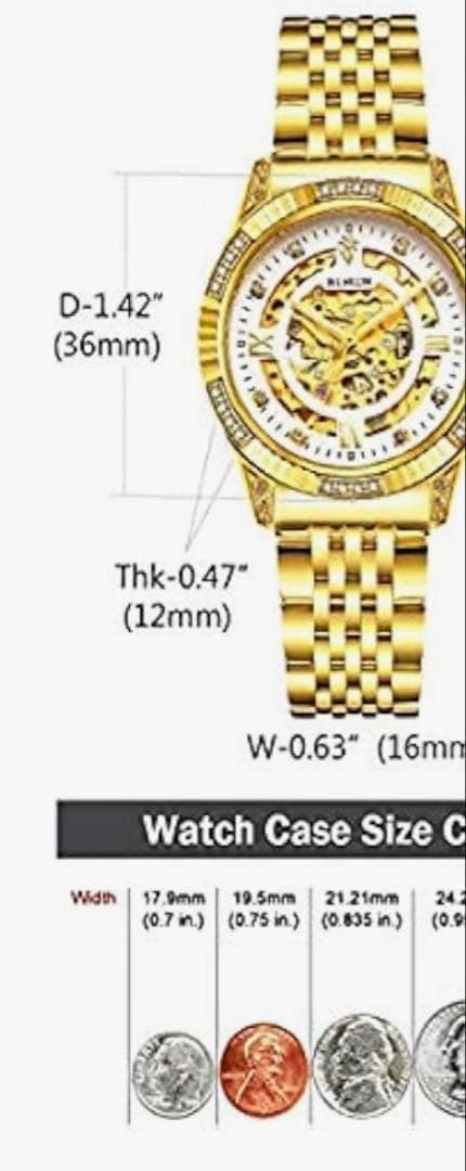 BINLUN 自動巻き時計 ゴールド レディースでもメンズでも 箱付き