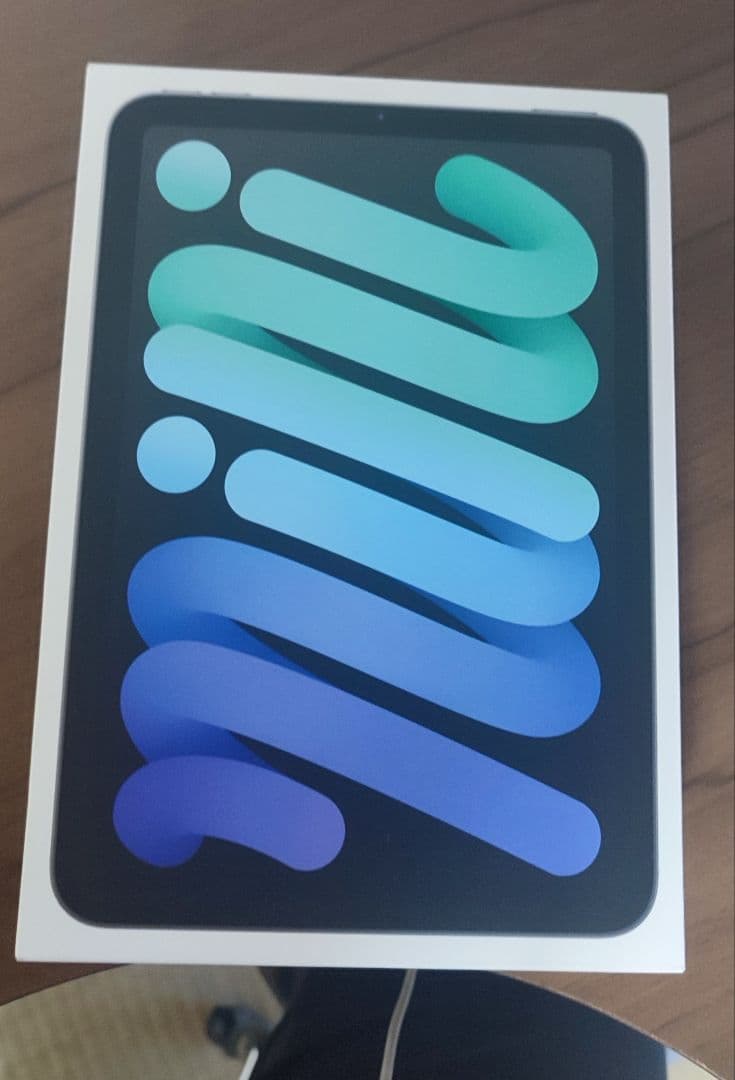 iPad mini (A17 Pro) 128GB スペースグレー