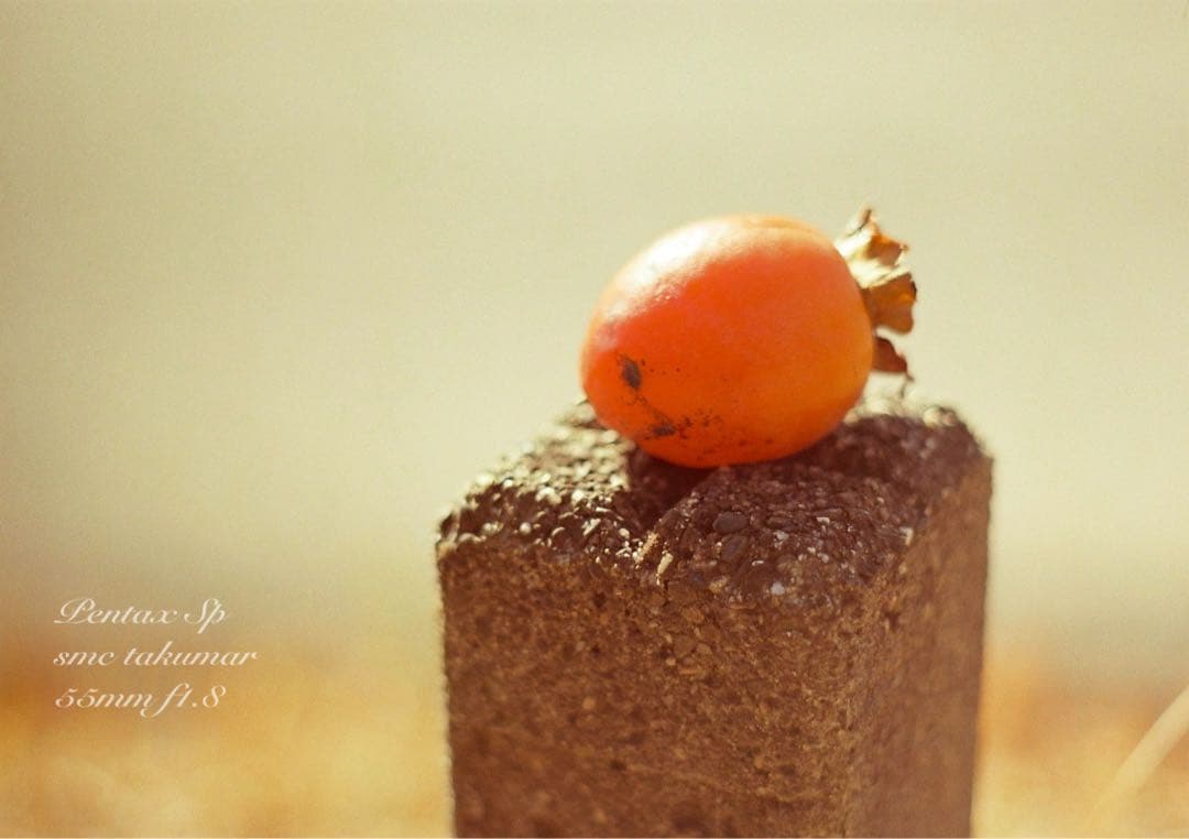 入門に！★PENTAX SP★レンズセット★完動品＊初期保証＊リザード本革外装