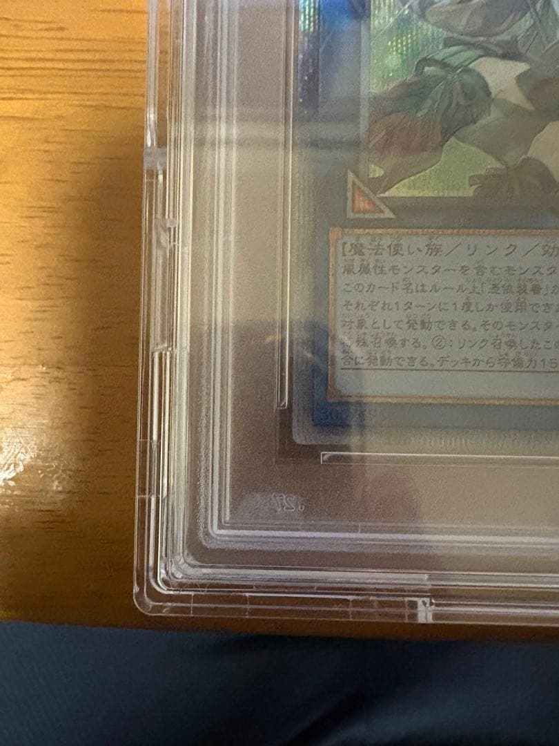 蒼翠の風霊使いウィン シークレットレア 20th PSA10