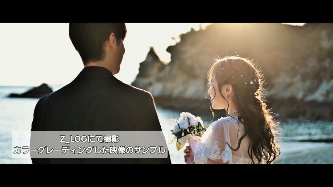 Nikon Z50 +ケージ+Z_LOGデータ、他多数 映像制作入門に！！