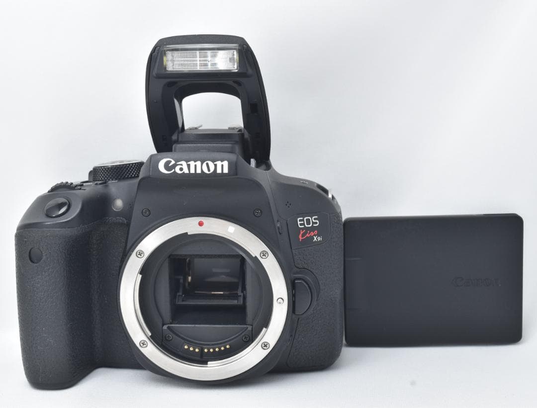 Canon キャノン EOS Kiss X9i レンズセット