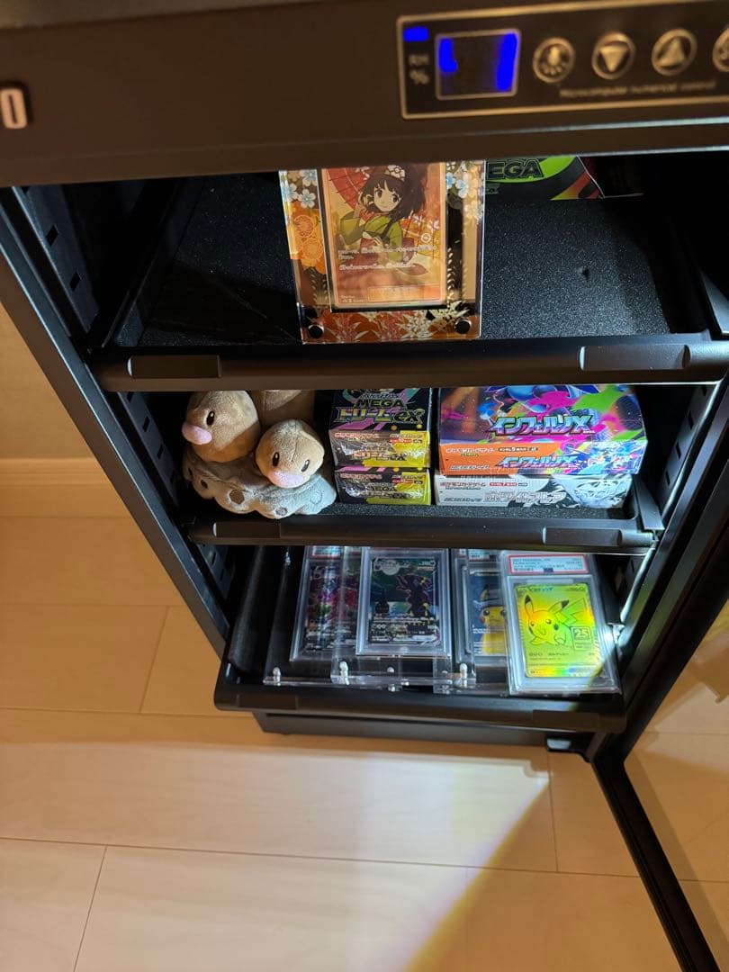 【PSA10】ブラッキーVMax SA HR 095/069