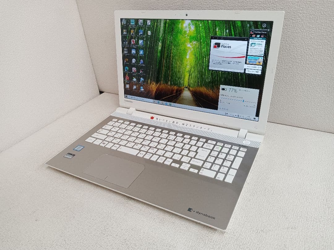⊇ dynabook PAZ55TG-BWA 16GB ストレージ無