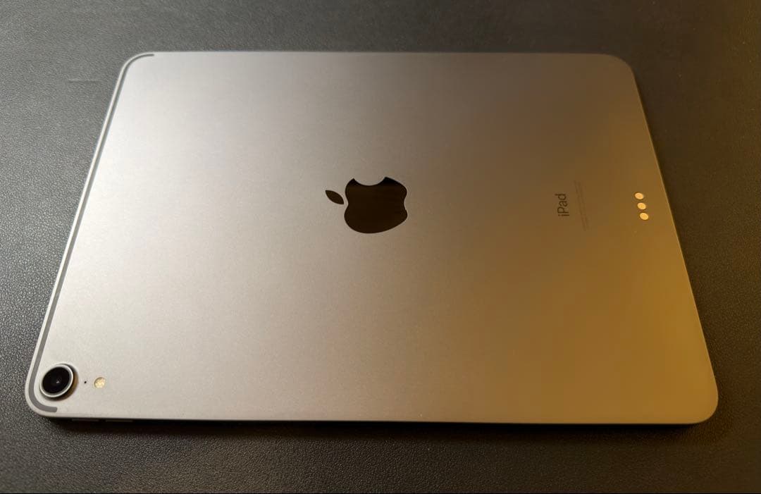 Apple iPad Pro 第一世代 256GB