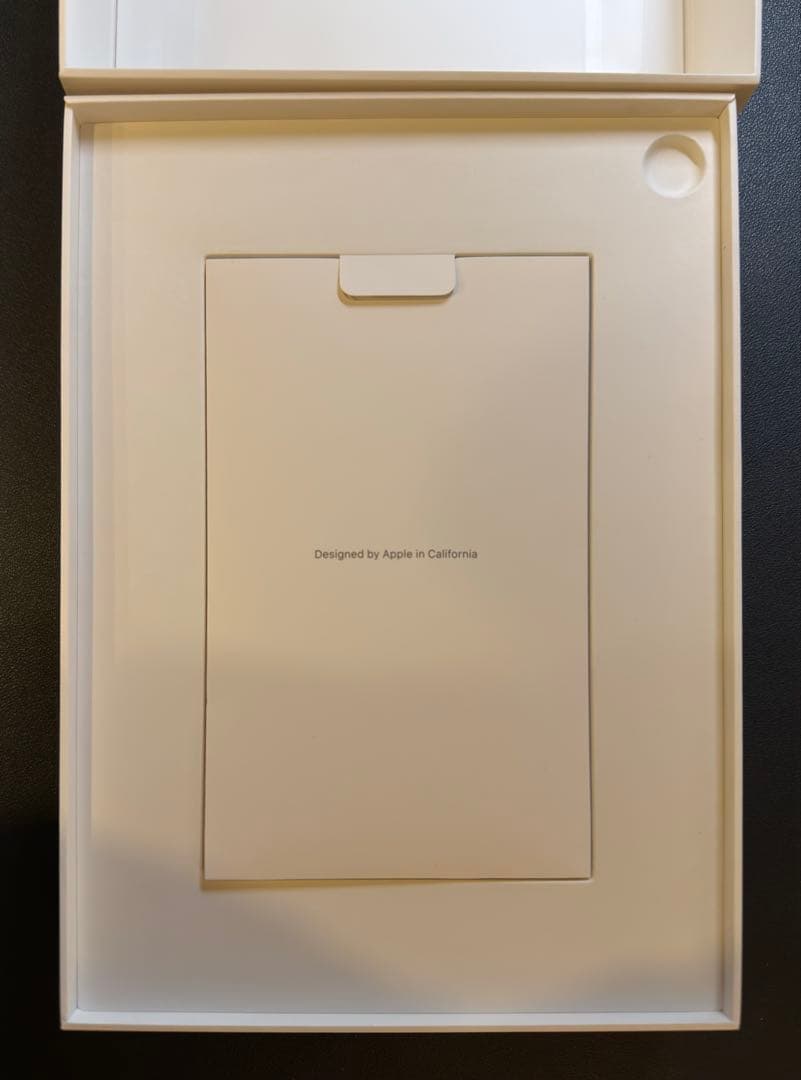 Apple iPad Pro 第一世代 256GB